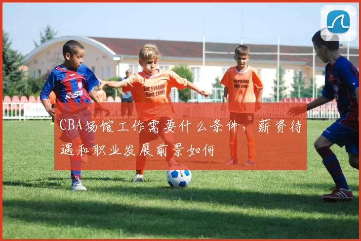 CBA场馆工作需要什么条件，薪资待遇和职业发展前景如何